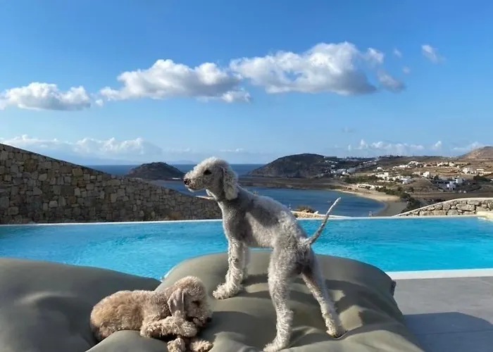 Willa Dream View Villa, 2 Min Walk To The Beach, By Red Windmill